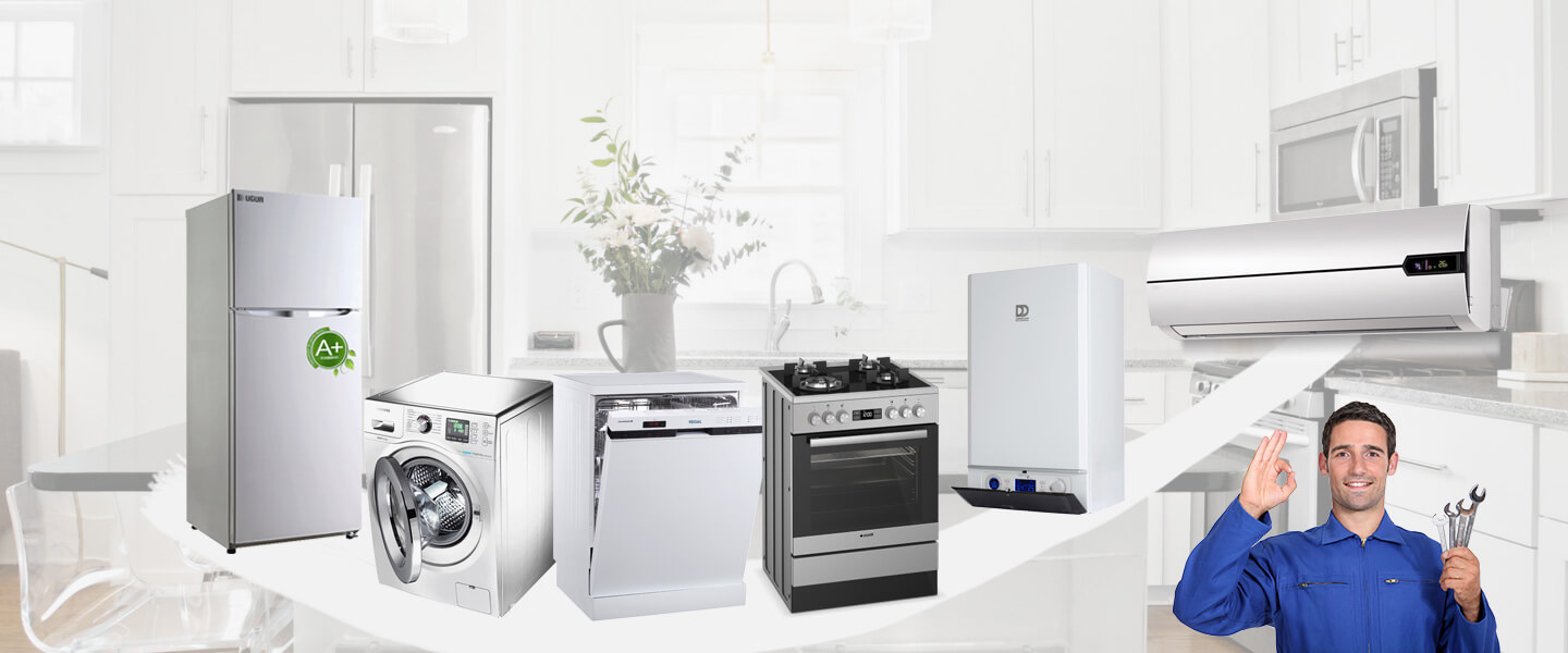 Arapgir Grundig Servisi